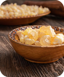 Indian Frankincense
